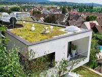 Instalacja zielonego dachu