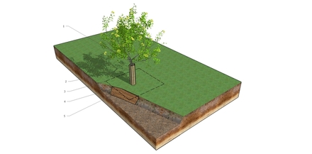 Zabezpieczenie drzewa na placu budowy | Buszrem