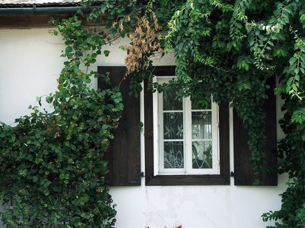  kolor stolarki okiennej i drzwiowej  | Drewnochron